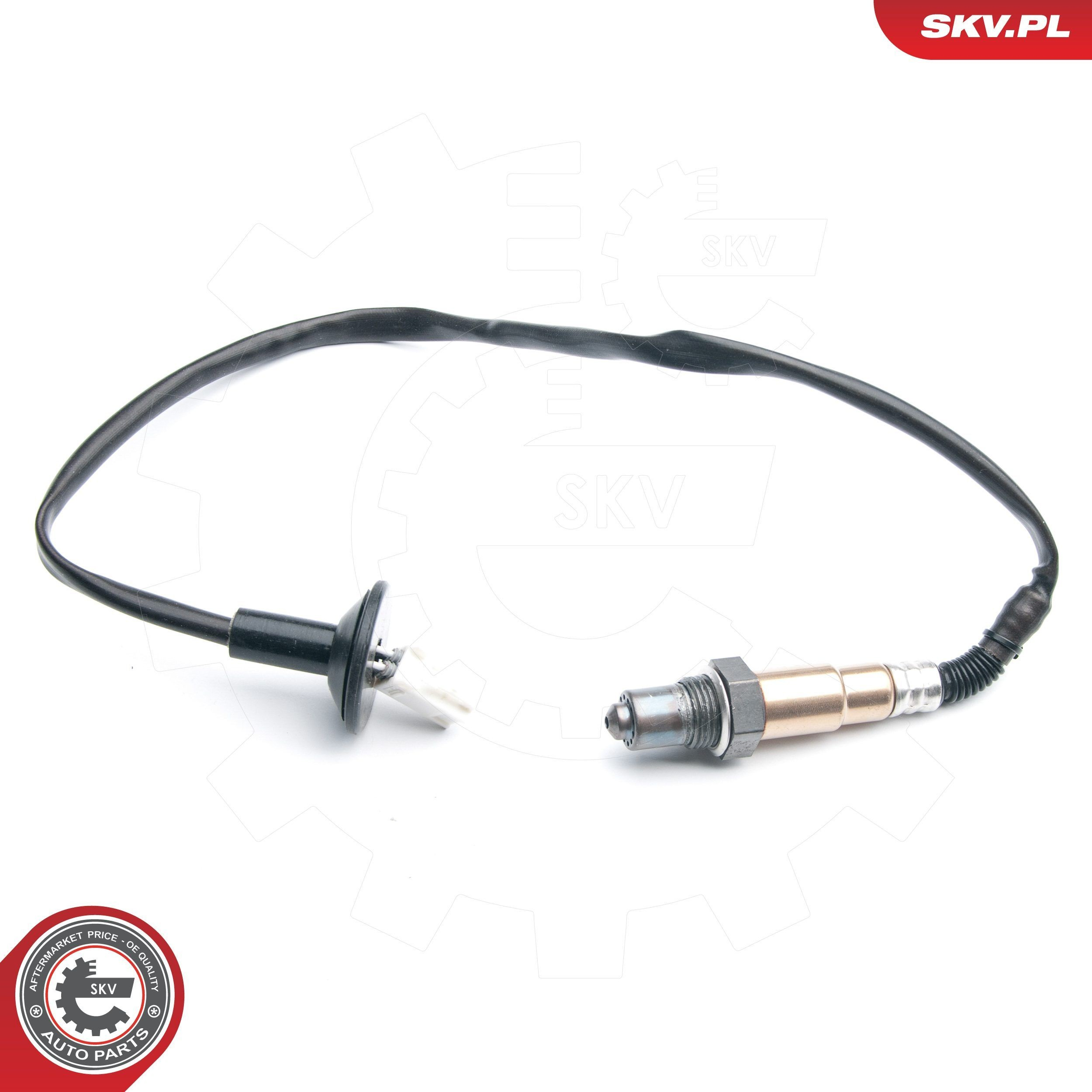 09SKV741 SKV